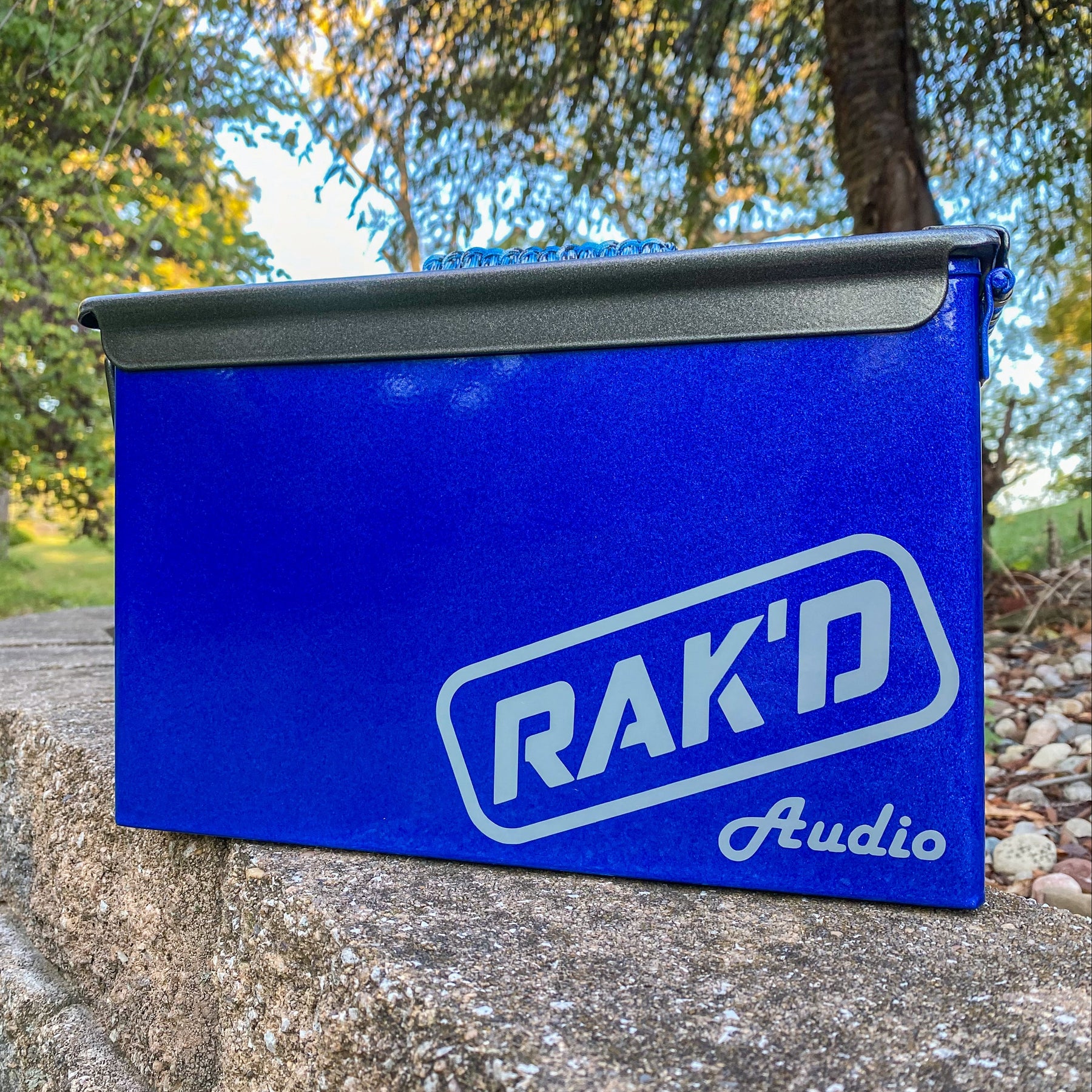 Blueberry RAK D Audio blueberry-rak-d-audio